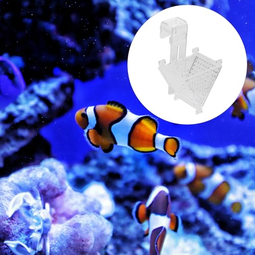 Ciieeo Acrylic Red Bloodworm Feeder Cup Tapered Fish Feeding Holder Aquarium Food Container for Live Bait Fish Tank Accessories