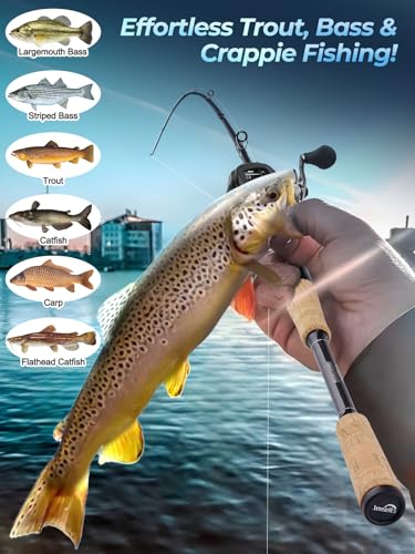 Jenseits Carbon Fiber Fishing Rod Series (6-12 Ft), Spinning & Casting Rods with Stainless Steel Ceramic Guides, Fast Action Fishing Pole for Bass, Trout, Walleye & Surf Fishing - size: 7'0"-Medium Heavy-Fast-Black, style: Casting