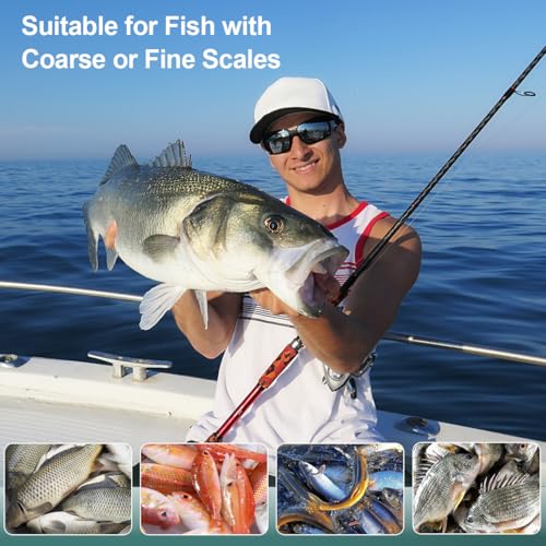 SUCCFLY Fish Scaler Stainless Steel, Premium Fish Scale Remover Integrated Casting, Heavy Duty Wedge-shaped Sawtooth Fish Descaler Tool, Ergonomic Handle Fish Scaler Remover No Mess, Fish Scaler Tool