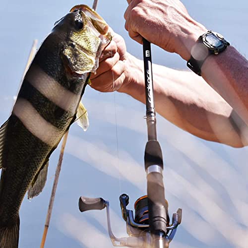 Cadence CS6 CS7 CS8 Spinning Reel, Ultralight Fast Speed Premium Magnesium Frame Fishing Reel with 10 Low Torque Bearings Super Smooth Powerful Fishing Reel with 36 LBs Max Drag & 6.2:1 Spinning Reel - style: Cs8-2000