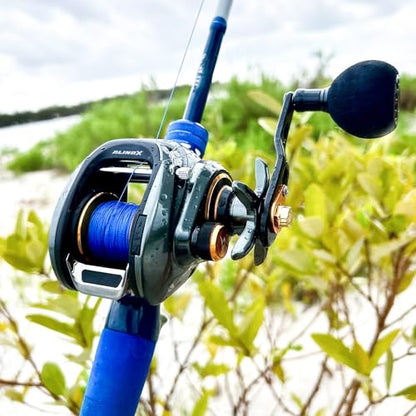 Piscifun Alinox 300 Baitcaster Fishing Reel,Aluminum Frame Baitcasting Reel, 33Lbs Max Drag, Freshwater & Saltwater Low Profile Casting Reel for Musky, Available in 6.6:1/8.1:1 Gear Ratio - color: Black