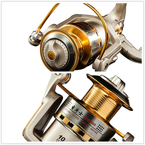 Diwa Spinning Fishing Reels for Saltwater Freshwater 1000 2000 3000 4000 5000 6000 Series Fishing Spool Left/Right Interchangeable Trout Carp Spinning Reel Light and Smooth - style: 5000
