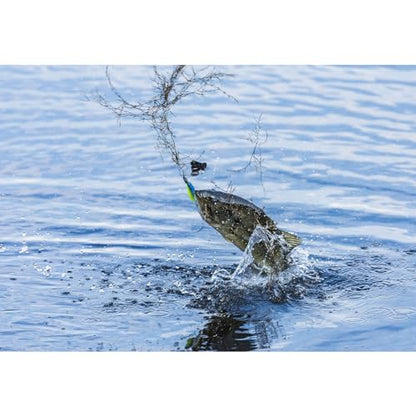 BUCKEYE LURES G-Buzz Single Bladed Buzzbait - Durable Fish-Catching Topwater Lure for Bass Fishing - color: Black w/Black, size: 1/4