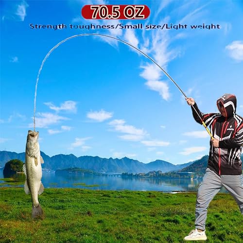 Carbon Fiber Tenkara Fishing Rod Kit Bank Poles for Catfishing All Waters - size: 8.8Ft