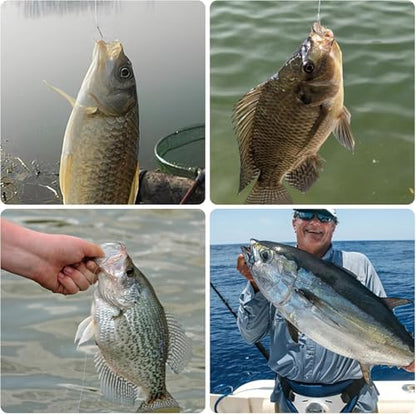 Dr.Fish 30 Pack Round Bend Treble Hooks #16-#8/0, Triple Fishing Hooks Saltwater&Freshwater, Replacement Hardbait Crankbait Spinner Catfish Walleye Trout Salmon Bass Fishing - color: Silver, size: #12-30 Pack