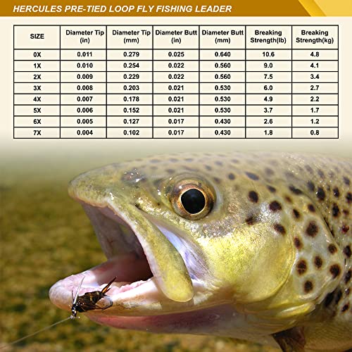 HERCULES Pre-Tied Loop Fly Fishing Leader 6 Pack with Tapered Leader Wallet - size: 9FT - 6pcs