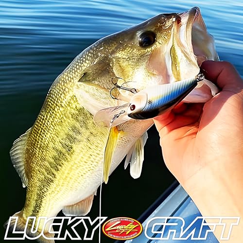Lucky CRAF LC 1.0, Silent, Crankbait, Squarebill, Freshwater Fishing Gear, Tournament Winning, Champion Bait, Fishing Accessories, Fishing Tackle - color: 512 All OT Moss Craw