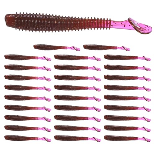 Soft Fishing Lures - Paddle Tail Swim Bait for Bass, Trout in Saltwater & Freshwater - Rigged with Hooks - Durable ABS Plastic - color: Purple Red, size: 2.56"