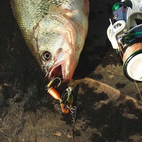 Inline Spinnerbaits for Bass Trout Pike – Premium Spinner Lures with Treble Hooks & Flash Blades for Freshwater & Saltwater Fishing – Durable, Vibrant, and Deadly Effective - style: Bell Spinner