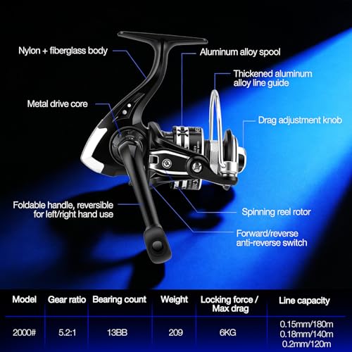 2PCS Telescopic Fishing Rod and Reel Combo Sets, Collapsible Fishing Pole Set with 2 Carbon Fiber Fishing Poles, 13BB Pre‑Spooled Spinning Reels, Saltwater Fishing Rod for Adults and Beginners