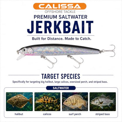 Calissa Offshore Tackle 110mm and 140mm California Inshore Fishing - Special Jerkbait Crankbait Surf Flash Fishing Salt Pro Lure Minnow Zebra MS Metallic Sardine Glow - size: 110mm, style: Anchovy