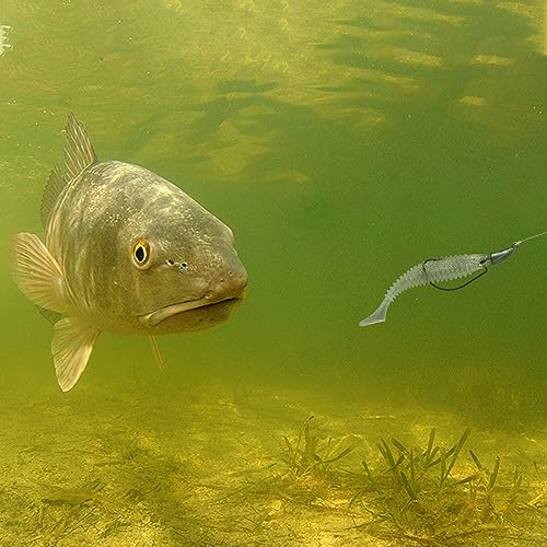 MAFIMOEA Bullet Jig Heads Weighted Texas Rig Hooks Swimbait Hooks Bass Crappie Walleye Trout Fishing Weedless Swimbait Jig Heads Saltwater Freshwater - size: 14g-20pcs