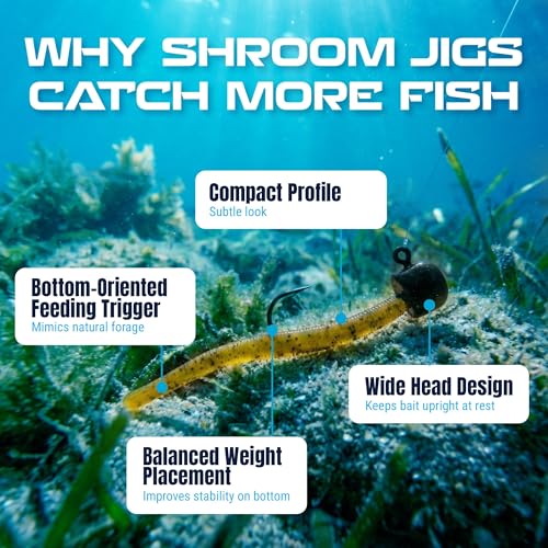 Reaction Tackle Mushroom Jig Heads for Ned Rig Finesse Bass Fishing, Stand-Up Design with Standard and EWG Hook Options (25-Pack) - color: Green Pumpkin EWG, size: 3/16 Oz