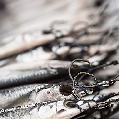 Saltwater Tuna Giant Circle Hooks 8/0-28/0 Stainless Steel Fishing Hooks Big Game Fishing Hooks in-line Circle Hooks for Swordfish Tuna Shark - size: 8/0, 20pack