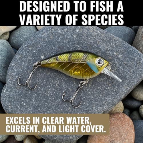 Lunkerhunt Impact Jolt | Crankbait, Deep Diving Hard Bait Fishing Lure | Flat Sided Square Bill, Clear Water, Fresh Water Lure for Bass Fishing, Trout and Spike, Crappie - color: Green Back