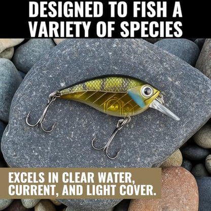 Lunkerhunt Impact Jolt | Crankbait, Deep Diving Hard Bait Fishing Lure | Flat Sided Square Bill, Clear Water, Fresh Water Lure for Bass Fishing, Trout and Spike, Crappie - color: Green Back
