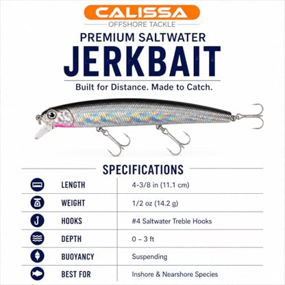 Calissa Offshore Tackle 110mm and 140mm California Inshore Fishing - Special Jerkbait Crankbait Surf Flash Fishing Salt Pro Lure Minnow Zebra MS Metallic Sardine Glow - size: 110mm, style: Anchovy