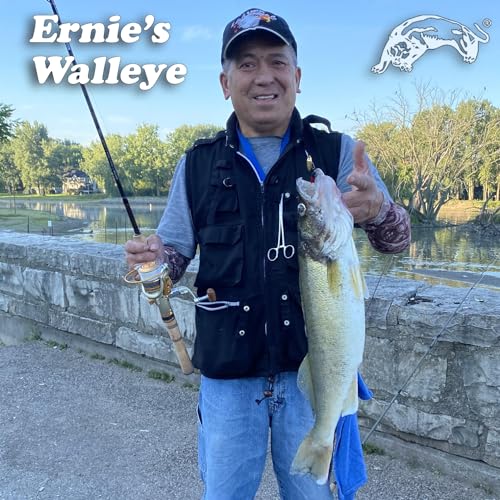 Panther Martin Fishing Lures 6-Pack All Time Greatest Fish Catcher World Famous Spinning Lures in Value Kit Spinners for Trout, Salmon, Panfish, Bass, Crappie & Perch - style: Willowstrike