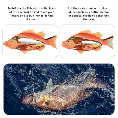 GOLDEN J Fish Venting Tool for Saltwater Fishing | Modular Design with Hidden Storage & Stainless Steel/Aluminum Build, Relieves Deep Sea Fish Pressure for Healthier Release - size: Large