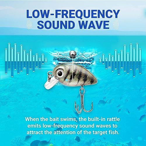5PCS Micro Crankbait Fishing Lures Set, Lifelike 3D Eyes Hard Bait with Sharp Treble Hooks, Freshwater Saltwater Lures for Bass Trout Perch Walleye Pike, Tackle Box Included