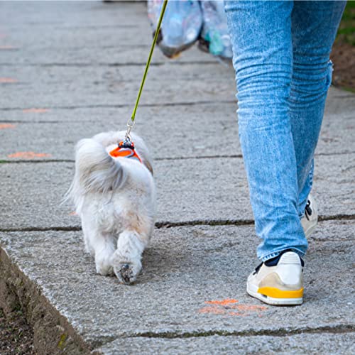 Dog Leash Snap Leash Clip Clasp Swivel Clip Heavy Duty Pet Leashes Clips Key Chain 3 Inch 6 PCS for Linking Pet Collar