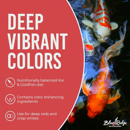 Blue Ridge Koi Fish Food 50lb - Koi Food Mini Growth Formula, Goldfish Food, Premium Fish Food for Ponds, Ponds Fish Food, Floating Pond Pellets - size: 50 Pound (Pack of 1)
