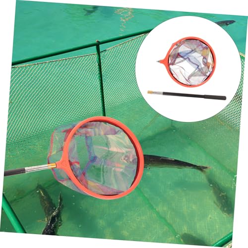 GANAZONO Stainless Steel Retractable Fishing Landing Net with Detachable Pole Portable Outdoor Fish Scoop Capacity Camping Tool for Bass Trout Random Color