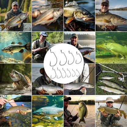 210 Pcs Fishing Hooks, Worm Hooks for Bass Fishing, Ewg Hooks for Soft Plastic Baits in Saltwater or Freshwater #8#6#4#2#1 1/0 2/0 3/0 4/0 5/0