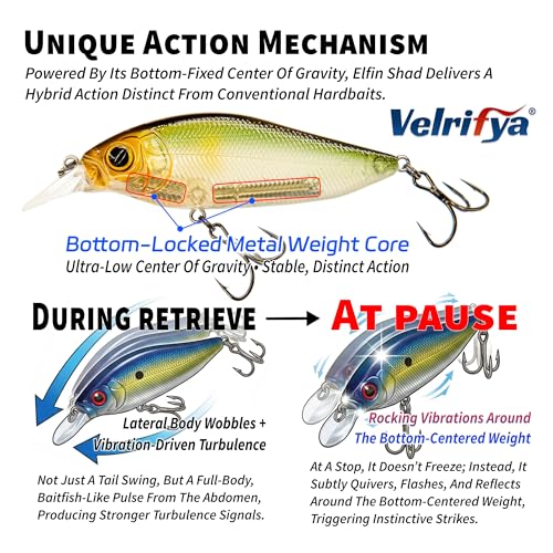 Flat Sided Japanese-Style Crankbait Elfin Shad – Medium Diving Bass Fishing Lure, Hard Bait Shad Crankbait for Freshwater Velrifya - color: 06-Sexy Shad