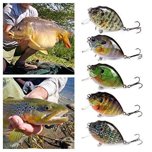 Fishing Lure, 5PCS Fishing Lures 6cm 15g Mini Wobbler Fishing Lure Artificial Hard Bait Crankbait with Tackle Box for Fish Bass Fishing Tackle