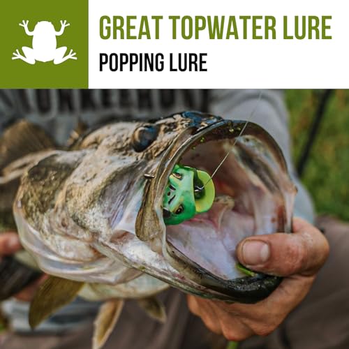 Lunkerhunt Frog Fishing Lure for Bass Fishing | Popping Frog Lure 1/4 oz | Topwater Fishing Bait with Weedless Hooks, Hollow Body, Trout Pike Lures - color: Green Tea, size: 2.25 inch