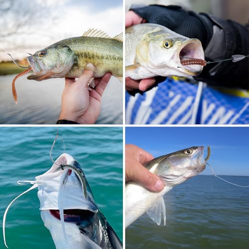 Goture 353PCS Wacky Worm Fishing Lure Kit, Bass Fishing Wacky Rig Tool Kit with Soft Plastics Lures, O-Rings, Offset Worm Hooks, Drop Shot Hooks, Beads, Sinker Weights, 3600 Tackle Box, Gifts of Men - color: A:353pcs Fishing Lures Kit