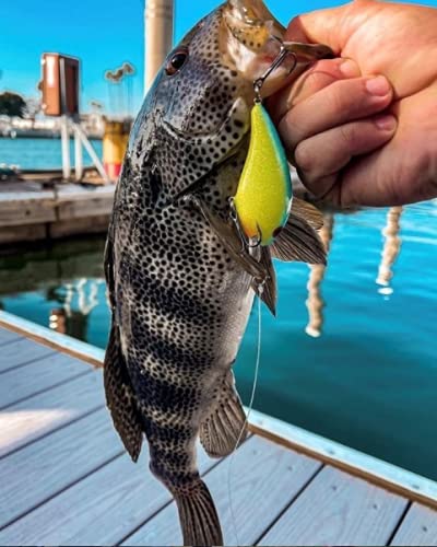 Bandit Lures Series 300 Crankbait Bass Fishing Lures