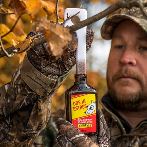 Wildlife Research Center Doe in Estrus, Powerful Sexual Attractor for Whitetail Bucks, Doe Urine Scent Lure with Estrus Secretions – 4 FL OZ - color: 4 FL OZ