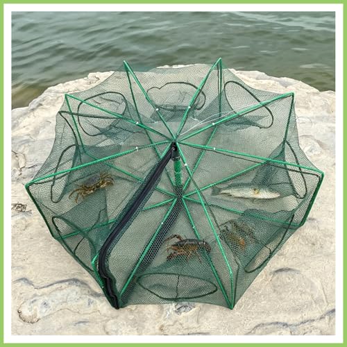 Foldable Fish Trap Net with 8 Holes, Collapsible Fishing Bait Trap for Minnow, Crab, Shrimp, Crawfish, 2 Pack