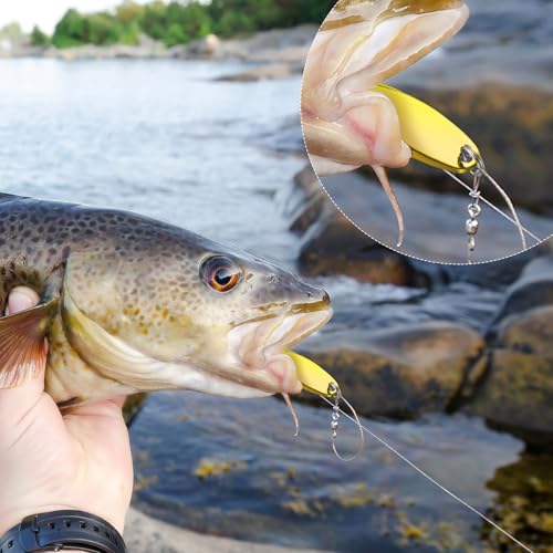 HESTYA Fishing Lures Spoons Saltwater Treble Trout Lures Hard Metal Spinner Baits 5 Sizes Casting Spoon Hooks for Salmon Bass in 1/5 1/4 3/8 1/2 3/4 oz - color: Silver, Gold