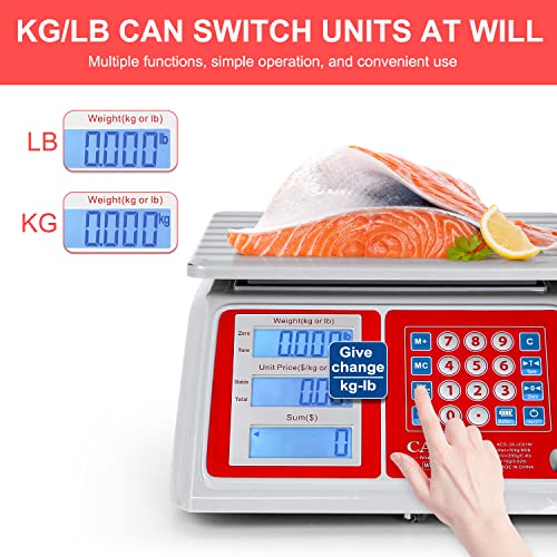 CAMRY Waterproof Commercial Food Scale, 66lb/30kg, Price Computing | IPX7 Stainless Steel Platform; Rechargeable Battery; Dual LCD Display; KG/LB Conversion; For Seafood and Farmers Market