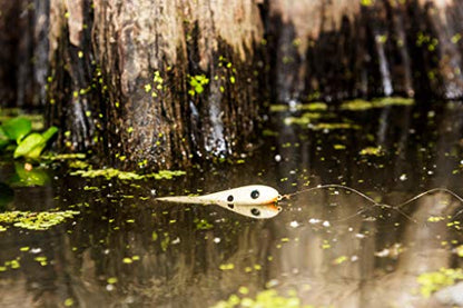 Heddon One Knocker Spook - color: Spasm