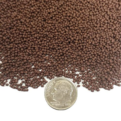 Blackworm Micro .8mm Floating Pellets with Color Enhancers & Vitamins for Discus, Guppies, Tetras, Live Bearers, Baby Cichlids, Baby Koi, All Tropical and Pond Fish...8oz Jar
