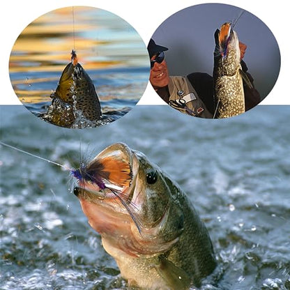 Fly Fishing Flies Kit-12pcs/32pcs/48pcs/64pcs Trout Flies Fly Fishing Lures with Fly Fishing Box Fly Fishing Assortment Kit for Bass Fly Fishing Flies Dry Wet Flies
