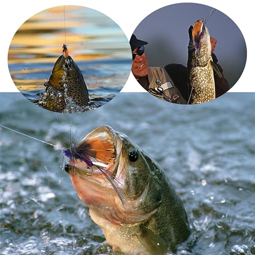 Fly Fishing Flies Kit Trout Flies for Fly Fishing with Fly Fishing Box