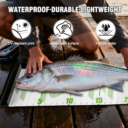 Booms Fishing 59" Fish Ruler: Foldable Fishing Ruler - Waterproof Fish Measuring Tape with Bump Board - Saltwater Fishing Measuring Tool for Angler, RL4 Green with White - color: Green with white