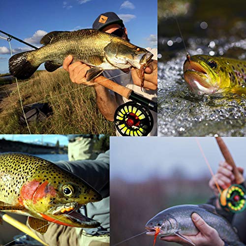 M MAXIMUMCATCH Maxcatch Fluorocarbon Fly Fishing Tippet Material Leader Line –Virtually Invisible – 55yards 0X-6X (Made in Japan) - size: 0X-55yd