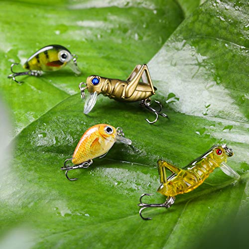 Skylety 10 Pieces Mini Fishing Lures Fishing Hard Baits Hooks Crankbaits Lures Baits Topwater Strong Sound for More Bites Freshwater Saltwater Trout Bass Perch with Box - style: Locust and Fish Series