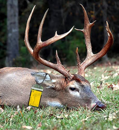 5 Pack, Camouflage, Vertrical, Zipped, Hunting & Fishing License Holder, Includes Zip Tie, Made in USA - style: 5 Pack-Camouflage