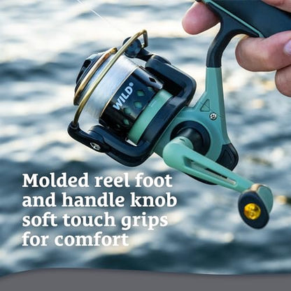 Shakespeare Wild Spinning Rod and Reel Combo - size: 6'6" - Medium - 3pc