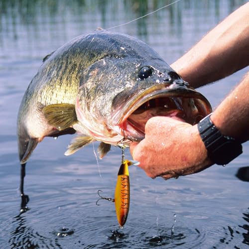 1-Pack Topwater Fishing Lures & Crankbaits Set - High-Action Popper Bass Lures with Rotating Tail, Saltwater/Freshwater Hard Baits for Trout, Pike, Catfish | Vibrating Lure Kit with Storage Box - color: orange