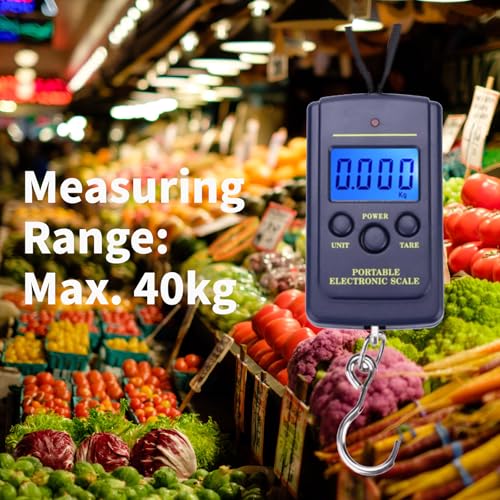 Digital Fish Scale 40kg Portable Hanging Fishing Scale with Backlit LCD Display, 4 Unit Luggage Weighing Scale for Fishing Travel and Home Use