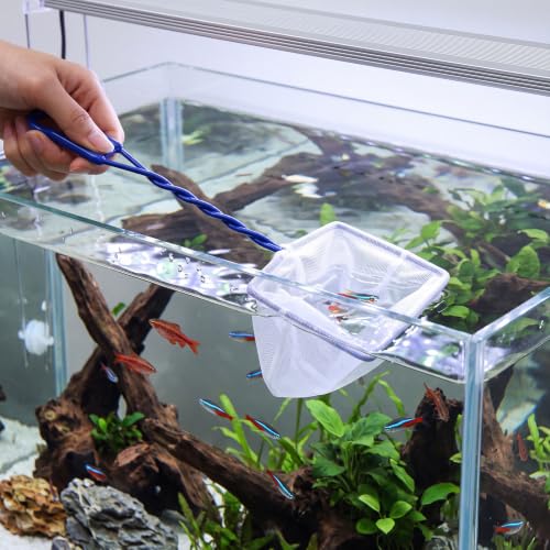 6 Pack Aquarium Fish Nets Blue Soft Fine Nylon Mesh with Spiral Plastic Handle & Iron Frame, Durable Fish Catch Net for Tank Cleaning, Fry, Pond and Stream - size: 4 In,5 In,6"