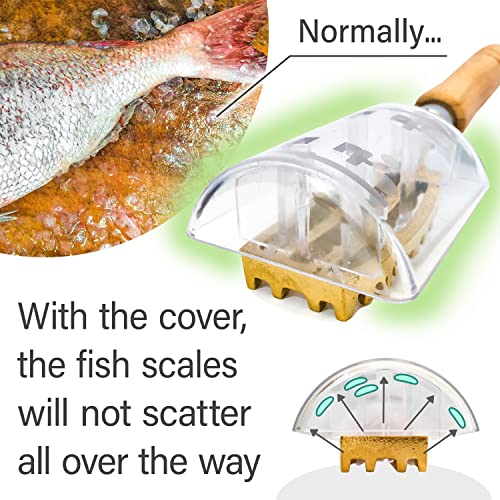 YAMASAN KYOTO UJI Brass & Wood Fish Scale Remover, Tsubame-Sanjo, Japan | Professional Japanese Kitchen Scale Tool, Fish Scale Remover with Box, Brass Serrated Sawtooth and Wooden Handles